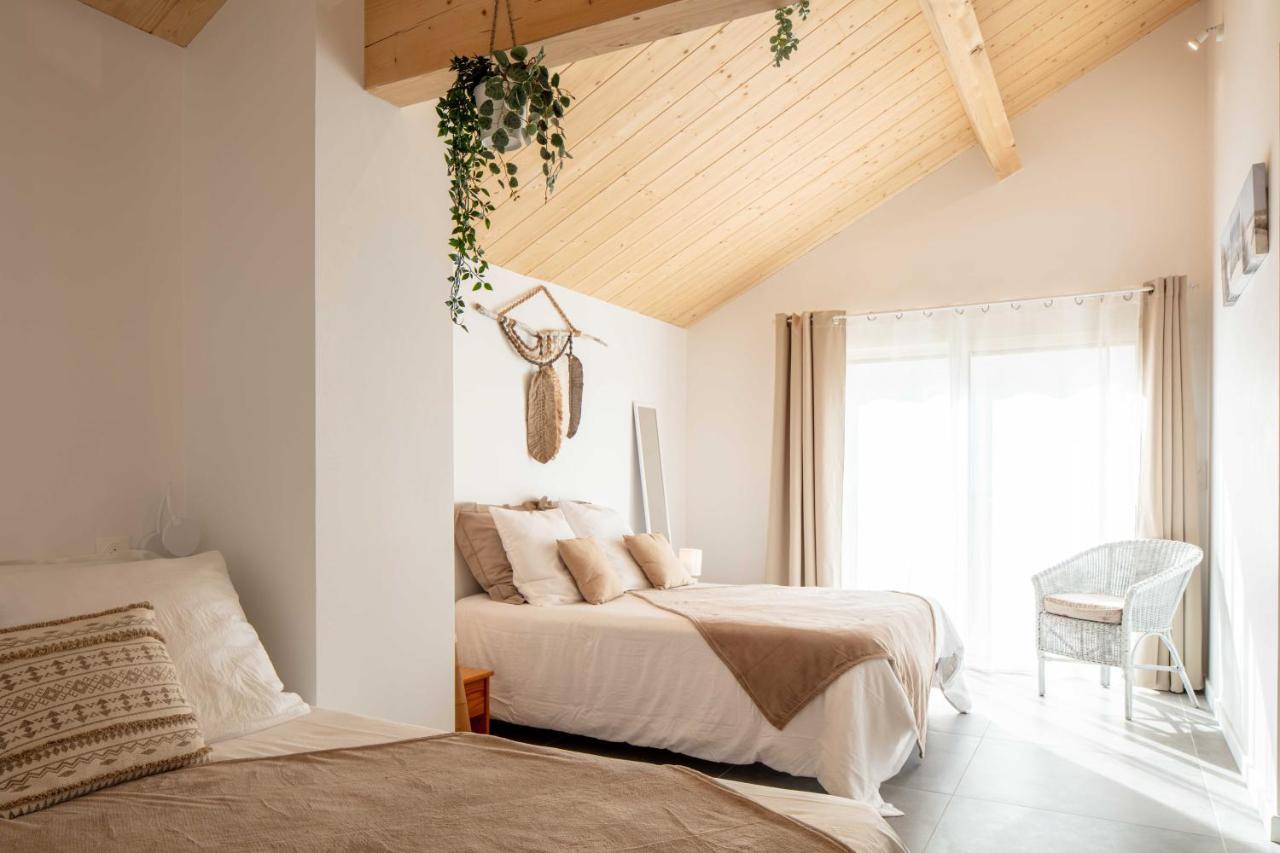 Ted Surf House Bed & Breakfast Capbreton Eksteriør bilde